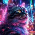 Miaoumap24
