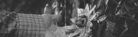 Notre cinéthèque lesbienne