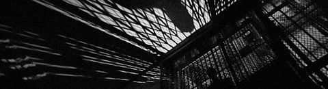 ALAN PARKER