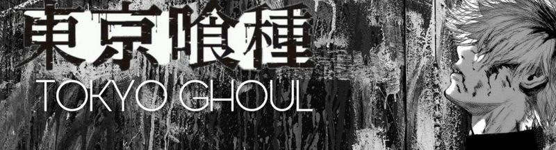 Bannière de MaeLaval