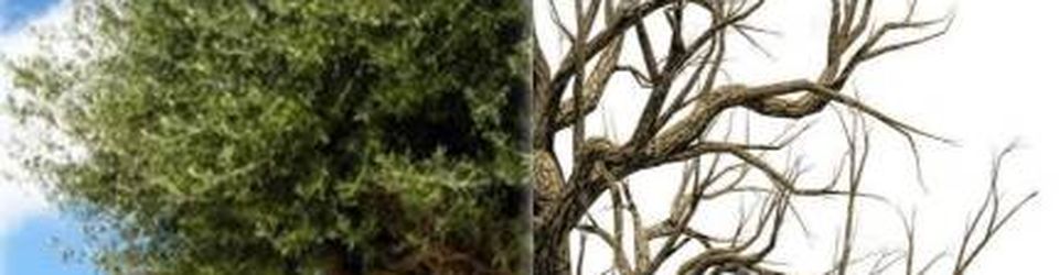 Cover L'environnement dans le monde arabe