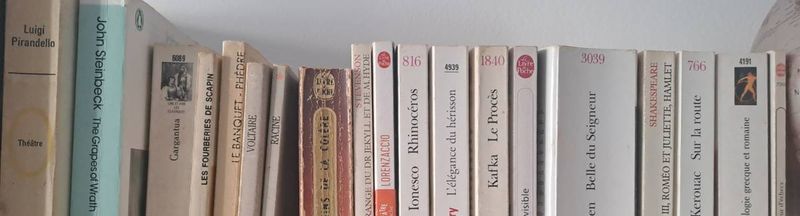 Bannière de Cyranez-de-Bergerac