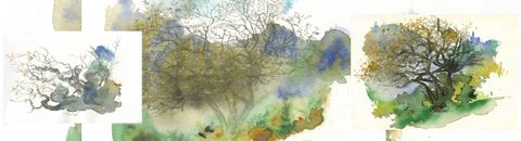 un regard sans haine