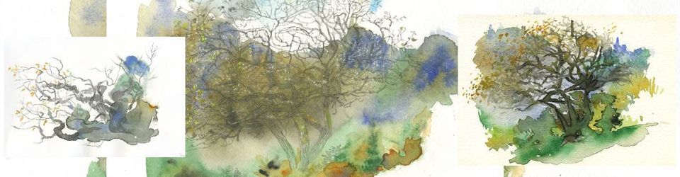 Cover un regard sans haine