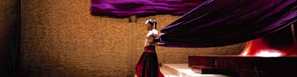 Cover Les plus belles claques esthétiques