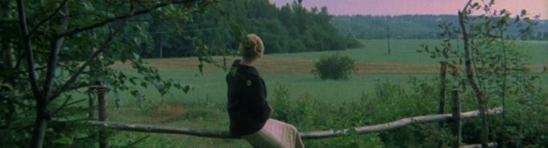 Bannière de younzer