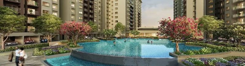 Bannière de purvacodenamebliss