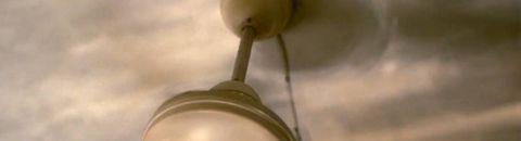 anthropology, ethnology 👣