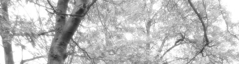 Bannière de Brain One