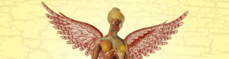 Cover Les meilleurs albums de 1993