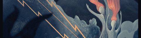 Mes albums métal 10 étoiles