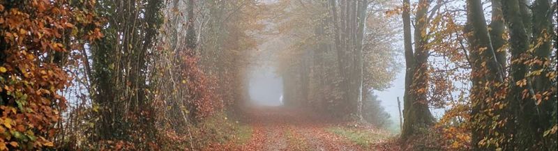 Bannière de RobinoH