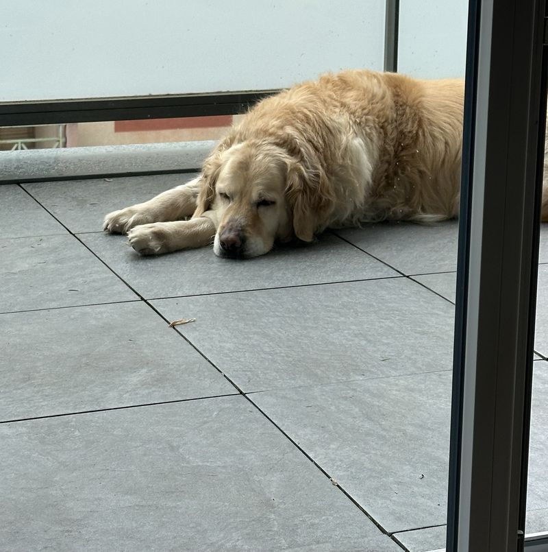 Bannière de Benjamin Nespoulous