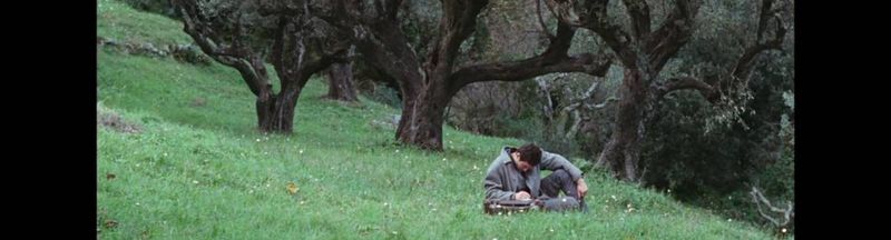 Bannière de RobWalser