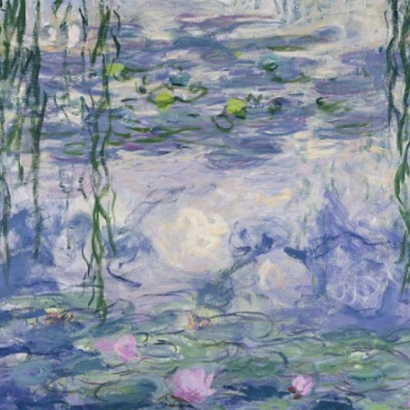 Bannière de Cath Petitpas